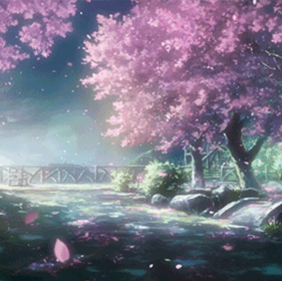 Chat Box - Picture 1 of 1